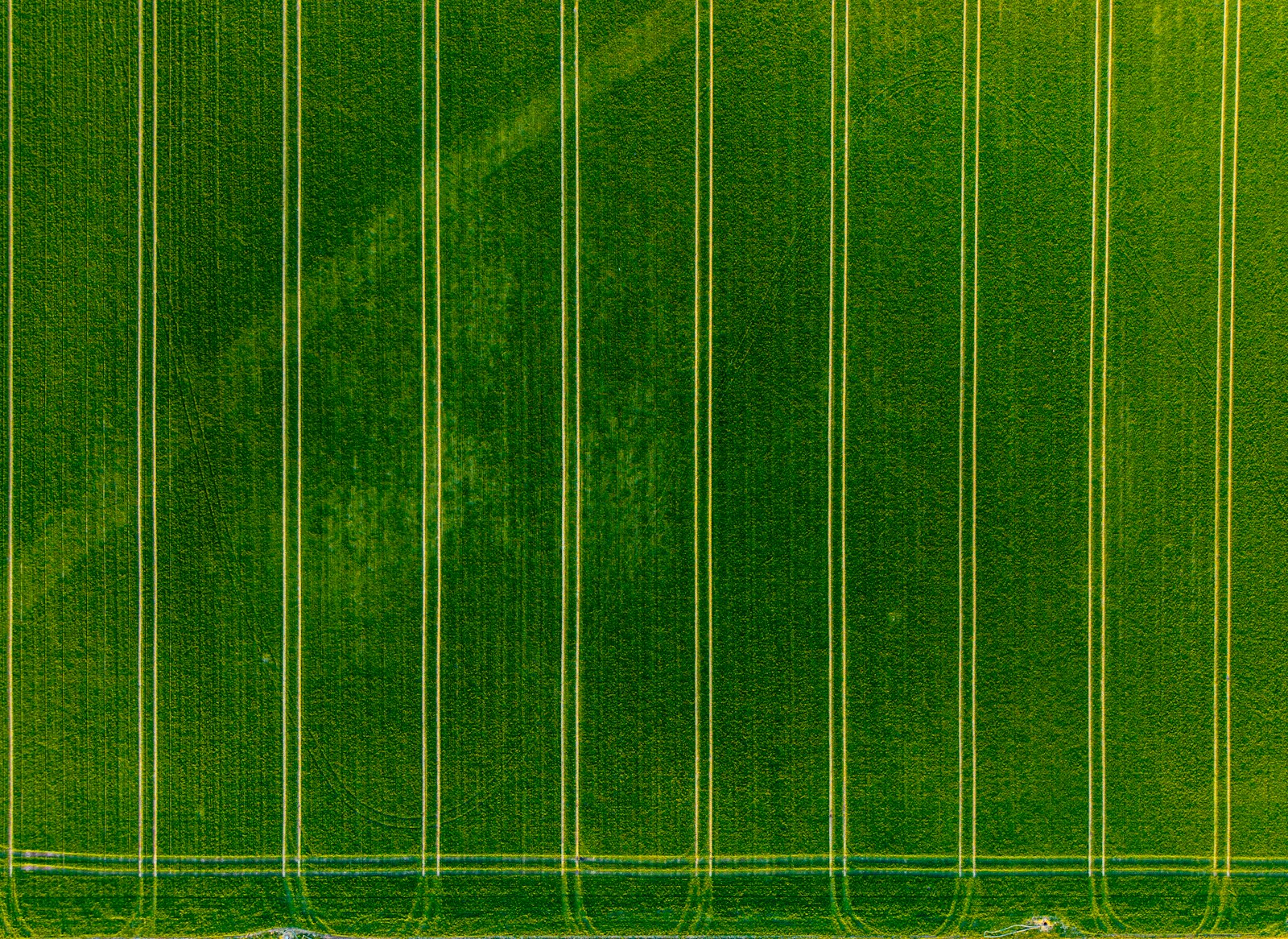 Agricultural fields viewed from above